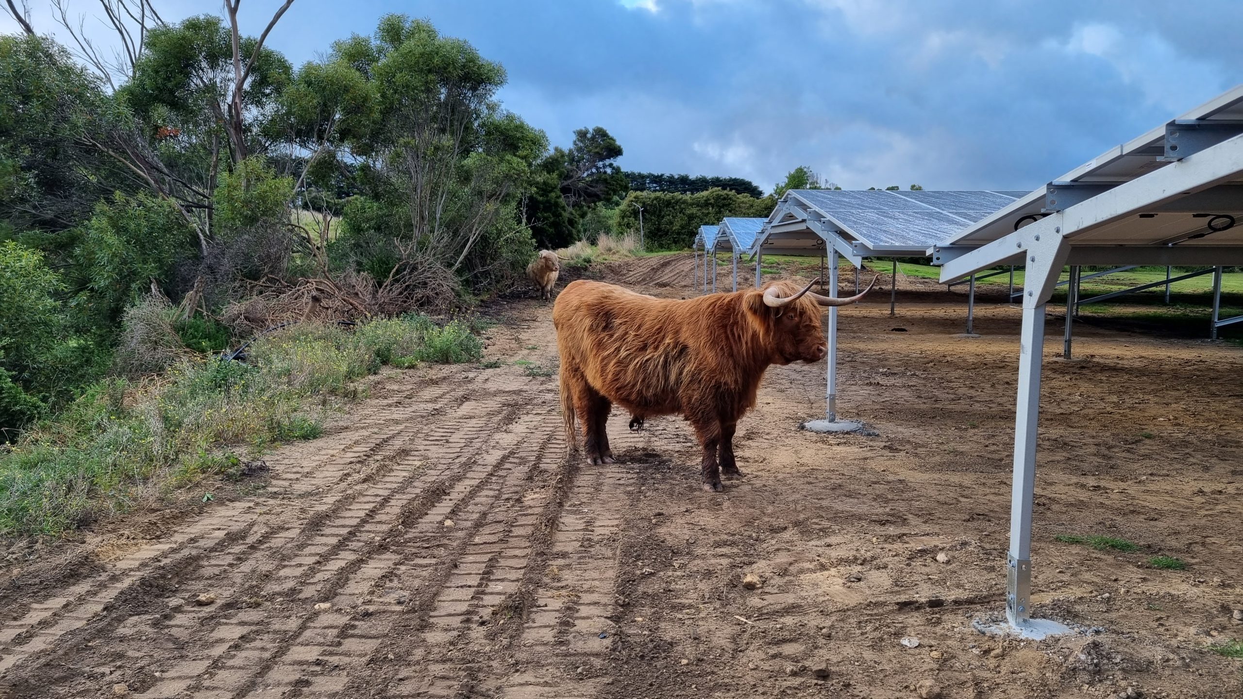 Provico Solar Array — photo 3