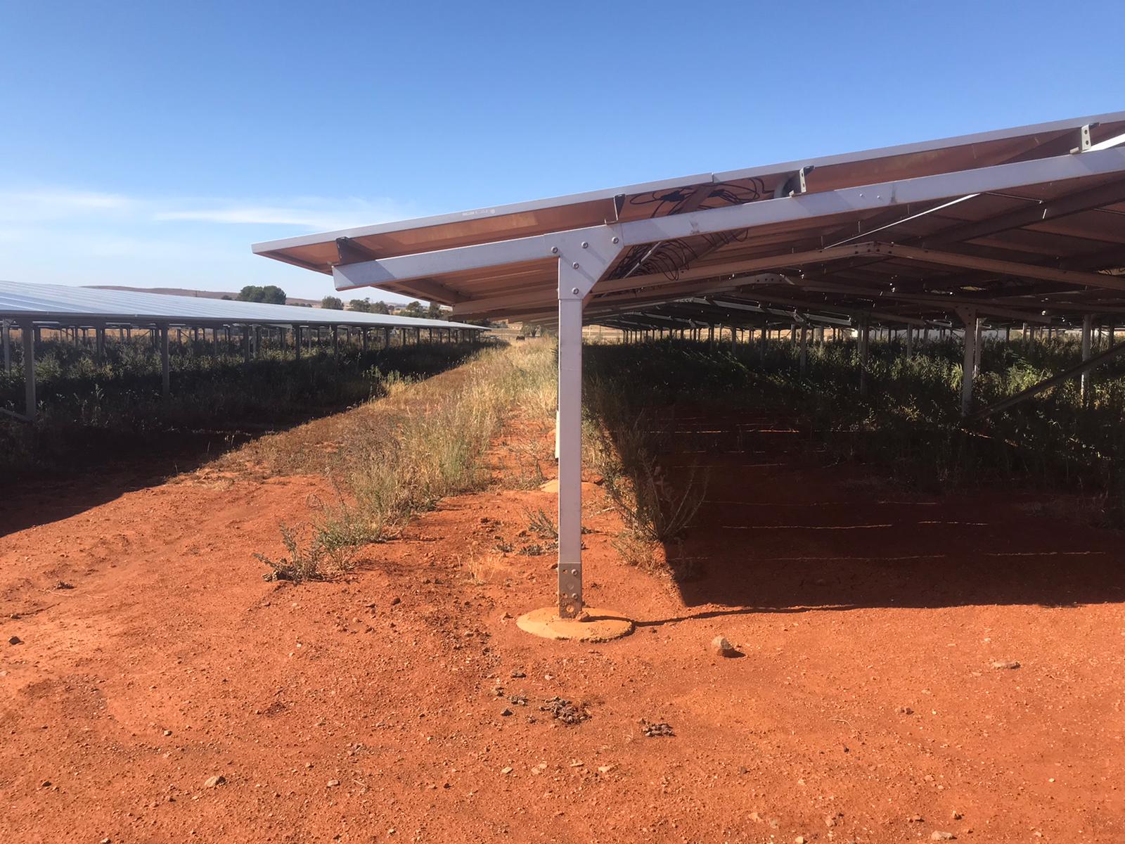 Yongala Solar Farm